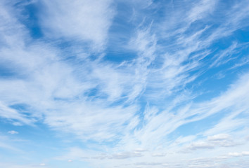 Fototapeta premium light fluffy clouds on a bright blue sky