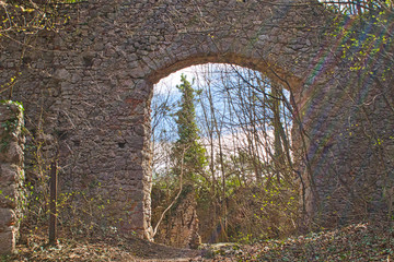 entry to an old castle ruin in the woods