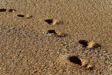 Fototapeta na wymiar footprints on the seashore coast