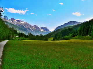 Austria,Alps-view on the mountain pasture