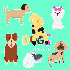Set of hand drawn dogs vector design illustration