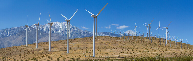 wind turbines in field