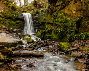 Fototapeta premium waterfall in the forest