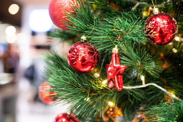 Christmas celebration concept with red ball hanging decorate gift on pine tree blurred background