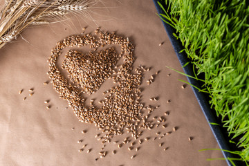 Wheat grass seeds