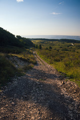 Fototapety na wymiar - Fototapeta24.pl