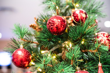 Christmas celebration concept with red ball hanging decorate gift on pine tree blurred background