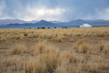 landscape of Western Mongolia