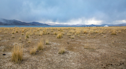 landscape of Western Mongolia