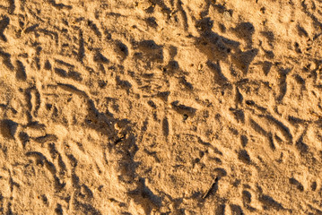 Close up beautiful sand texture background with traces