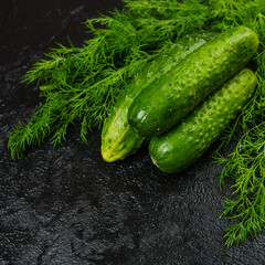 Fresh green cucumber  on black background