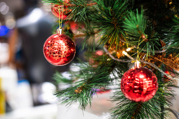 Christmas celebration concept with red ball hanging decorate gift on pine tree blurred background