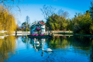 beautiful pond with birds in Sochi. Russia