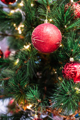 Christmas celebration concept with red ball hanging decorate gift on pine tree blurred background