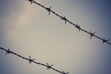 Barbed wire. A sharp and dangerous fence.