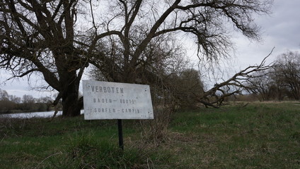 Spaziergang Entlang Donau alter Wald umwelt verschmutzung