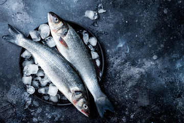 Fresh raw seabass fish on black stone background with ice. Culinary seafood background. Top view,...