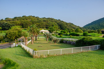 伊豆アニマルキングダムのドッグラン