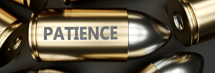Patience as a killer feature, main trait and most important attribute - power of patience pictured as a 3d render of a metal bullet with engraved English word, 3d illustration