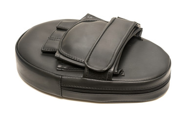 Punch mitt