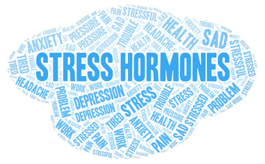 Stress Hormones word cloud.