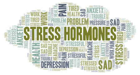 Stress Hormones word cloud.