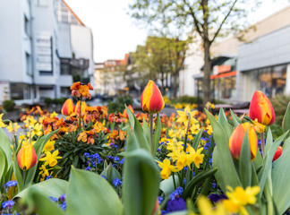 Fototapete bei efototapeten.de bestellen   