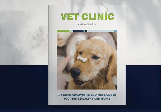 Veterinary Clinic Brochure Layout with Blue and Green Accents