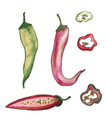 Hand drawn watercolor chill pepper vegetable illustration 