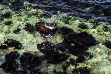 stones and rocks on the sea coast
