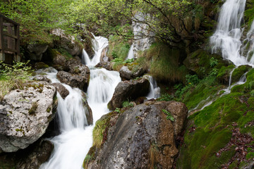 Swift mountain stream in motion blur, Italy