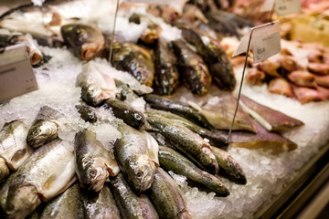Variety of sea fishes on the counter.