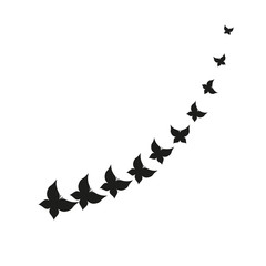 butterflies vector design