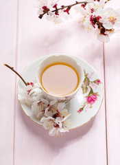 Cup of tea and spring flowers (blooms of an Apricot) on a light pink wooden table.