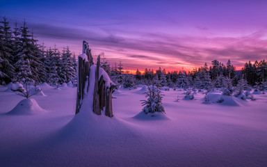 Winterlandschaft