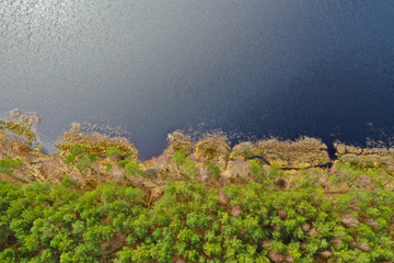 Aerial view on lake shore with green forest at beginning of spring.