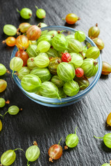 ripe gooseberry harvest