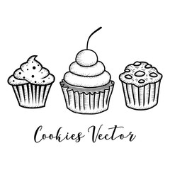 Hand Drawn Cupcake