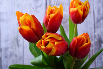 Bouquet of red and yellow tulips against the white wooden background