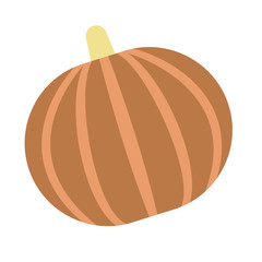 Pumpkin flat illustration on white