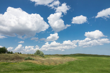 Fototapeta na wymiar Beautiful landscape. Green grass field and cloudy blue sky