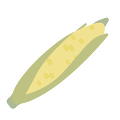 Corn flat illustration on white