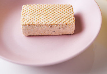 ice cream in briquette