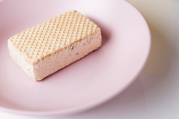 ice cream in briquette