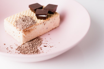 ice cream in briquette