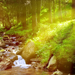Mountain river, forest and bright sun.