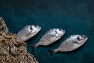 Fresh dorado fish with fishnet on stone cutting board on dark table. Top view, copy space.