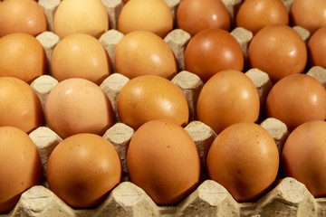 Raw chicken eggs in cardboard egg box close-up
