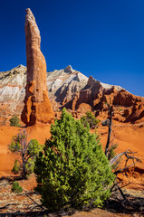 I Spire to be Something II