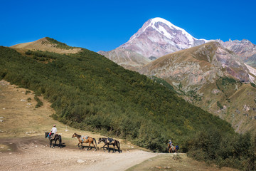 Fototapeta na wymiar Mountain guide with horses raises tourists to top of mountain. Tourism and travel in Caucasus mountains. Landscape with snow-capped mountain Kazbegi.